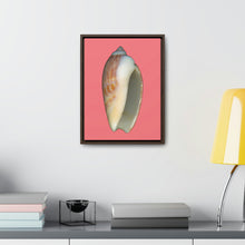 Load image into Gallery viewer, Olive Snail Shell Brown Apertural | Framed Canvas | Salmon Background
