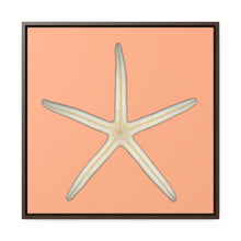 Load image into Gallery viewer, Finger Starfish Shell Bottom | Framed Canvas | Peach Background
