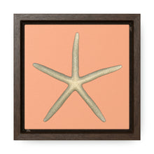 Load image into Gallery viewer, Finger Starfish Shell Top | Framed Canvas | Peach Background
