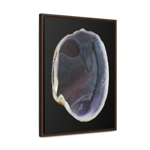 Quahog Clam Shell Purple Right Interior | Framed Canvas | Black Background