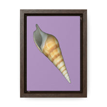 Load image into Gallery viewer, Turrid Shell Tan Apertural | Framed Canvas | Lavender Background
