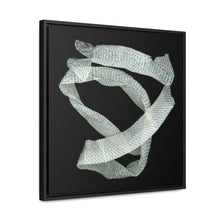 Load image into Gallery viewer, Mexican Milk Snake Shed Skin by Matteo | Framed Canvas | Black Background
