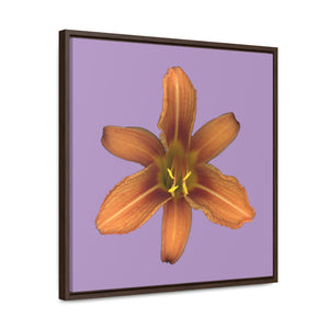 Orange Daylily Flower | Framed Canvas | Lavender Background