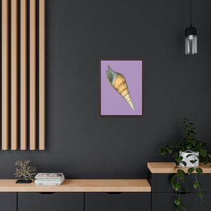 Turrid Shell Tan Apertural | Framed Canvas | Lavender Background