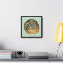 Load image into Gallery viewer, Moon Snail Shell Black &amp; Rust Apical | Framed Canvas | Sage Background
