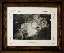 Load image into Gallery viewer, Three Rivers Series, Cow Head, Nothdruft Farm Framed COA Rooster #299693 Image.
