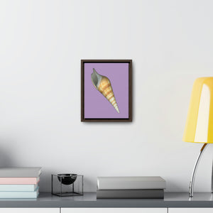 Turrid Shell Tan Apertural | Framed Canvas | Lavender Background