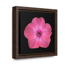 Load image into Gallery viewer, Phlox Flower Detail Pink | Framed Canvas | Black Background
