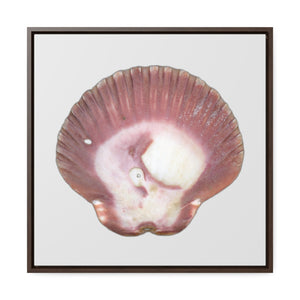 Scallop Shell Magenta Left Exterior | Framed Canvas | Silver Background