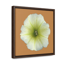 Load image into Gallery viewer, Petunia Flower Yellow-Green | Framed Canvas | Camel Brown Background
