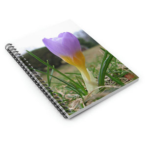 Crocus Purple | Spiral Notebook | Ruled Line | Spring