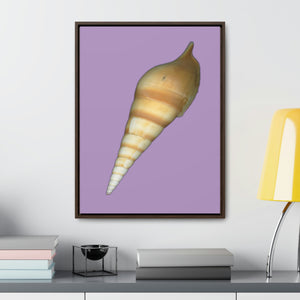 Turrid Shell Tan Dorsal | Framed Canvas | Lavender Background