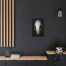 Load image into Gallery viewer, Raccoon Skull Superior by Matteo | Framed Wrap Canvas | Black Background
