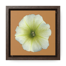 Load image into Gallery viewer, Petunia Flower Yellow-Green | Framed Canvas | Camel Brown Background

