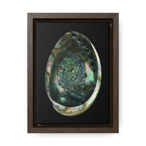 Abalone Shell Interior | Framed Canvas | Black Background