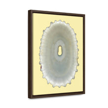 Load image into Gallery viewer, Keyhole Limpet Shell White Interior | Framed Canvas | Sunshine Background
