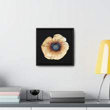 Load image into Gallery viewer, Honey Fungus, Armillaria by Matteo | Framed Canvas | Black Background
