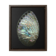 Load image into Gallery viewer, Abalone Shell Exterior | Framed Canvas | Black Background
