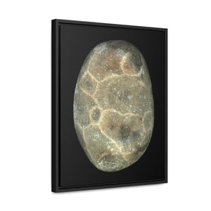 Petoskey Stone by Matteo | Framed Wrap Canvas | Black Background
