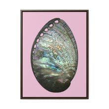Load image into Gallery viewer, Abalone Shell Exterior | Framed Canvas | Orchid Pink Background
