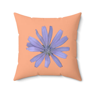 Throw Pillow | Chicory Flower Blue | Peach | 20x20 Bloomcore Cottagecore Gardencore Fairycore