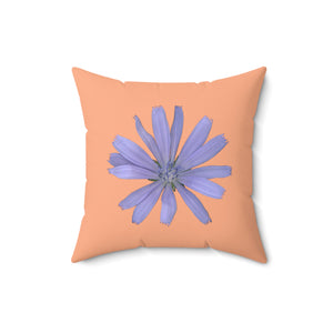 Throw Pillow | Chicory Flower Blue | Peach | 16x16 Bloomcore Cottagecore Gardencore Fairycore