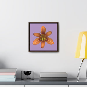 Orange Daylily Flower | Framed Canvas | Lavender Background