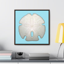 Load image into Gallery viewer, Arrowhead Sand Dollar Shell Top | Framed Canvas | Sky Blue Background
