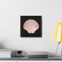 Load image into Gallery viewer, Scallop Shell Magenta Left Interior | Framed Canvas | Black Background
