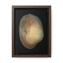 Load image into Gallery viewer, Quahog Clam Shell Purple Right Exterior | Framed Canvas | Black Background
