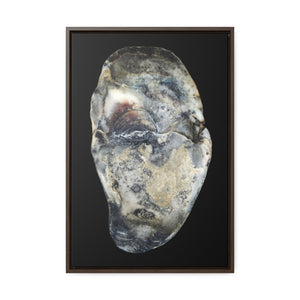 Oyster Shell Blue Right Interior | Framed Canvas | Black Background