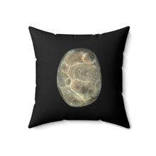 Load image into Gallery viewer, Throw Pillow | Petoskey Stone by Matteo | Black
