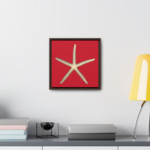 Load image into Gallery viewer, Finger Starfish Shell Top | Framed Canvas | Red Background
