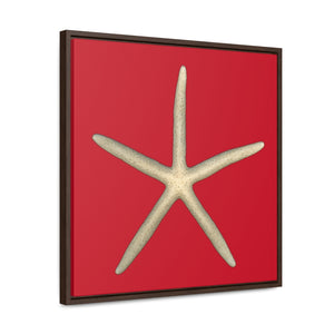 Finger Starfish Shell Top | Framed Canvas | Red Background