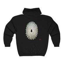 Load image into Gallery viewer, Keyhole Limpet Shell White Exterior | Unisex Heavy Blend™ Full Zip Hooded Sweatshirt

