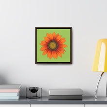 Load image into Gallery viewer, Gazania Flower Orange | Framed Canvas | Pistachio Green Background
