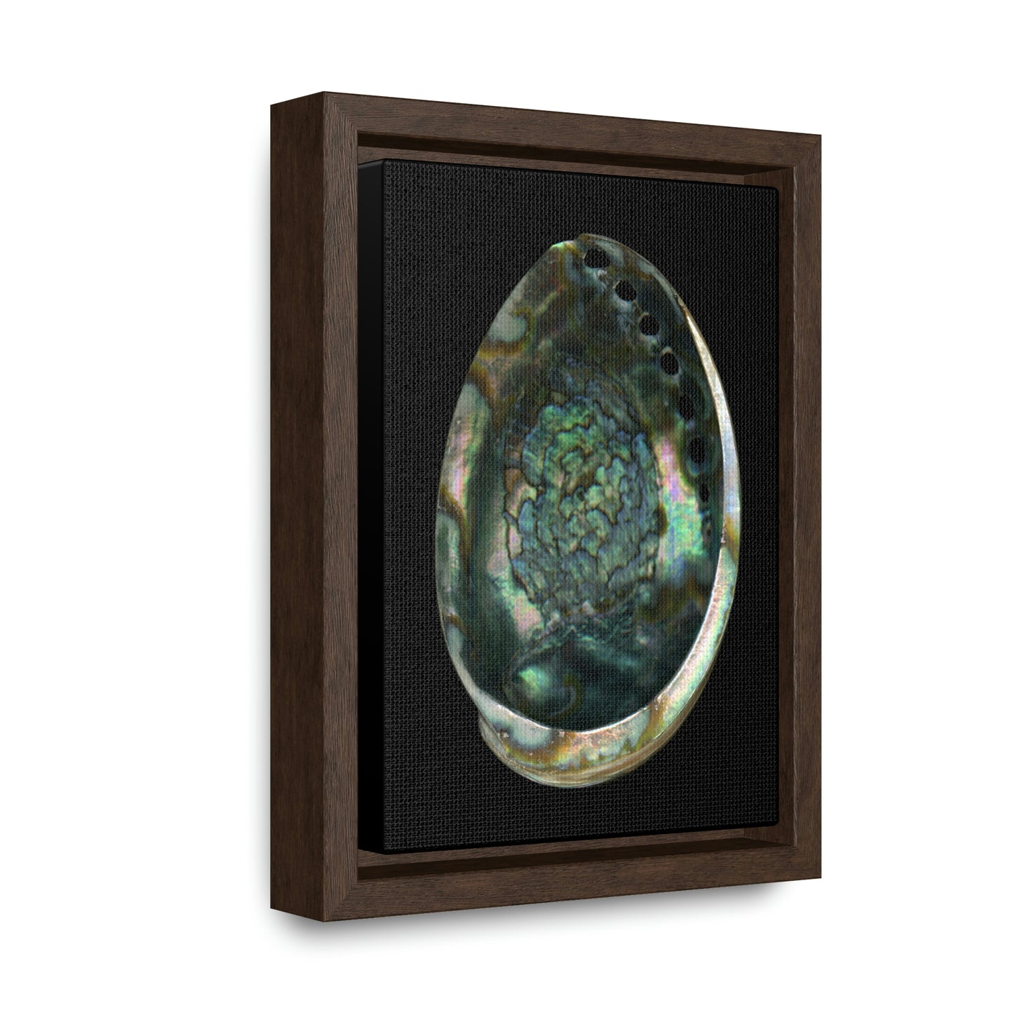 Abalone Shell Interior | Framed Canvas | Black Background