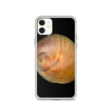 Load image into Gallery viewer, iPhone Case | Moon Snail Shell Shark&#39;s Eye Apical | Black Background
