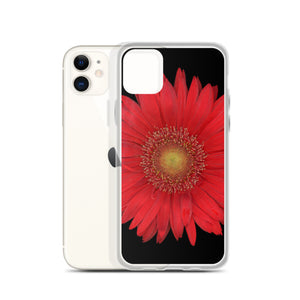 iPhone Case | Gerbera Daisy Flower Red | Black Background