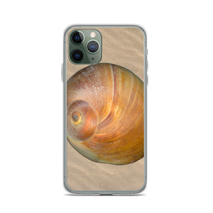 iPhone Case | Moon Snail Shell Shark's Eye Apical | Sand Background