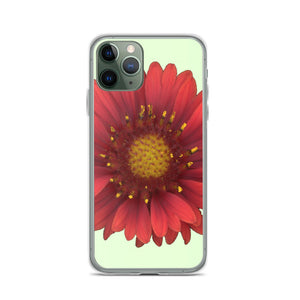 iPhone Case | Blanket Flower Gaillardia Red | Sea Glass Background