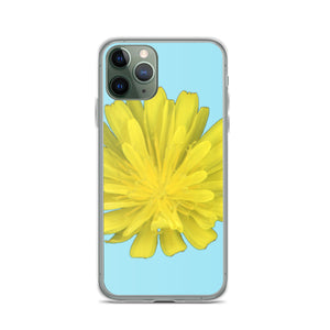 Hawkweed Flower Yellow | iPhone Case | Sky Blue Background