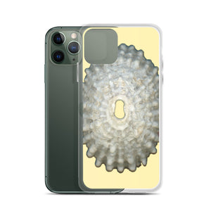 Keyhole Limpet Shell White Exterior | iPhone Case | Sunshine Background