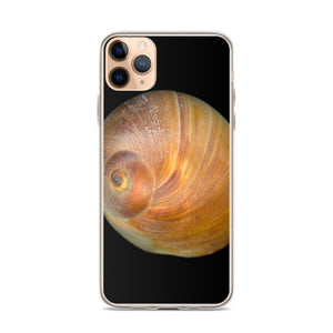 iPhone Case | Moon Snail Shell Shark's Eye Apical | Black Background