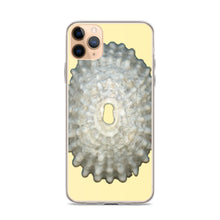 Load image into Gallery viewer, Keyhole Limpet Shell White Exterior | iPhone Case | Sunshine Background
