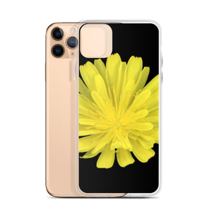 iPhone Case | Hawkweed Flower Yellow | Black Background