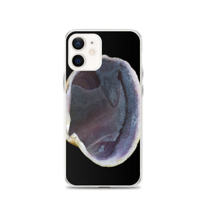 Quahog Clam Shell Purple Right Interior | iPhone Case | Black Background
