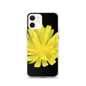 Hawkweed Flower Yellow | iPhone Case | Black Background