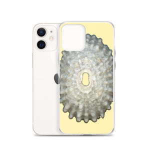 iPhone Case | Keyhole Limpet Shell White Exterior |Sunshine Background