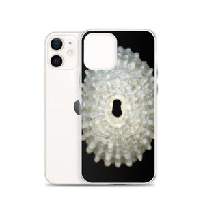 Keyhole Limpet Shell White Exterior | iPhone Case | Black Background